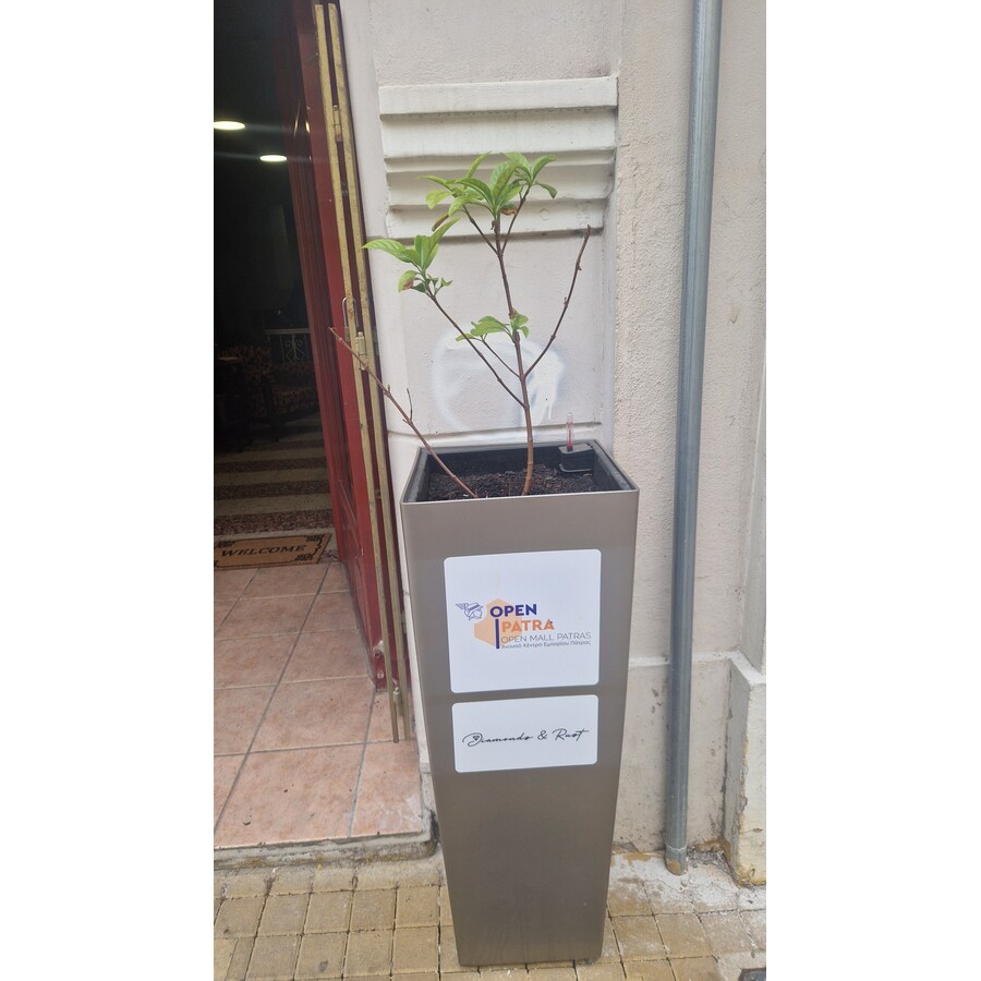 Γυναικεία Ένδυση