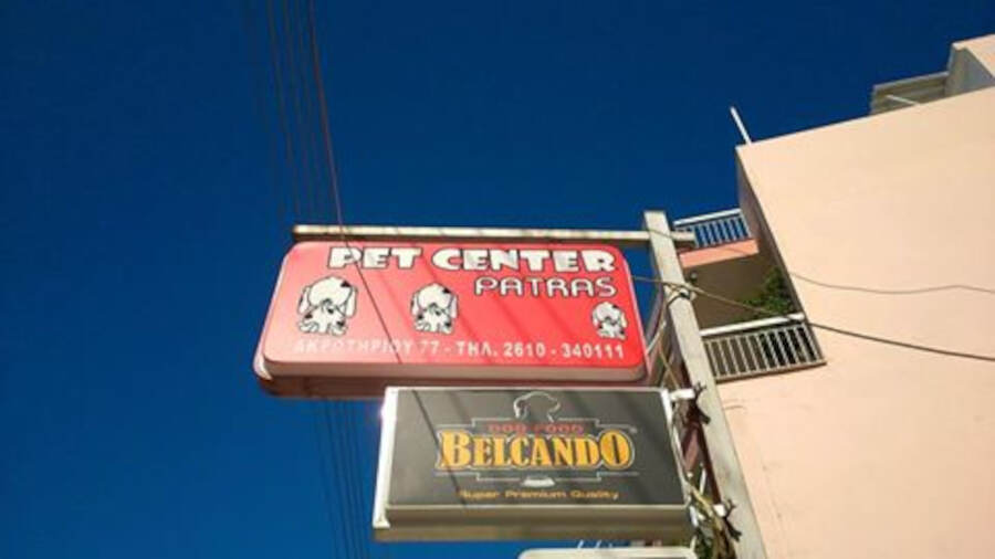Pet Shop