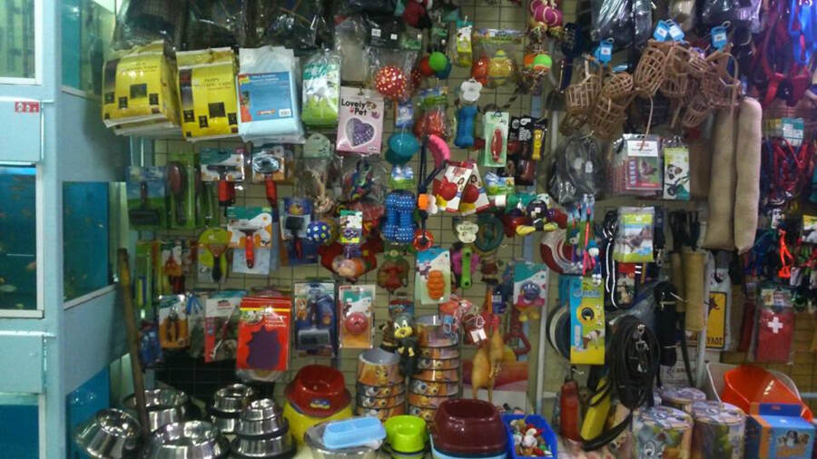 Pet Shop