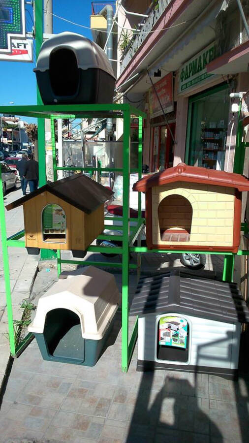 Pet Shop